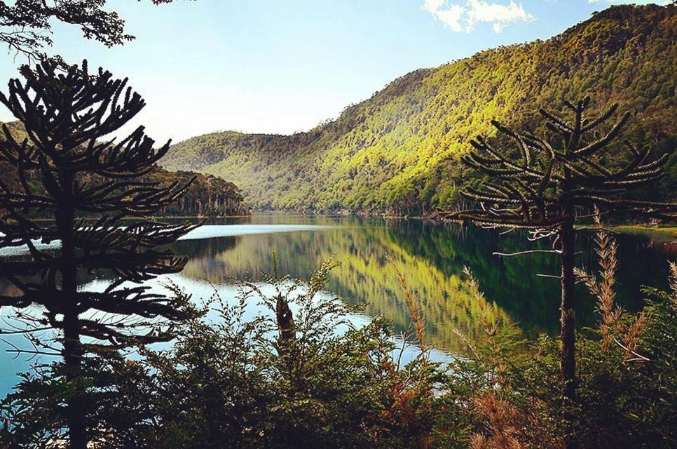 Departamento Explore Pucon 아파트 외부 사진